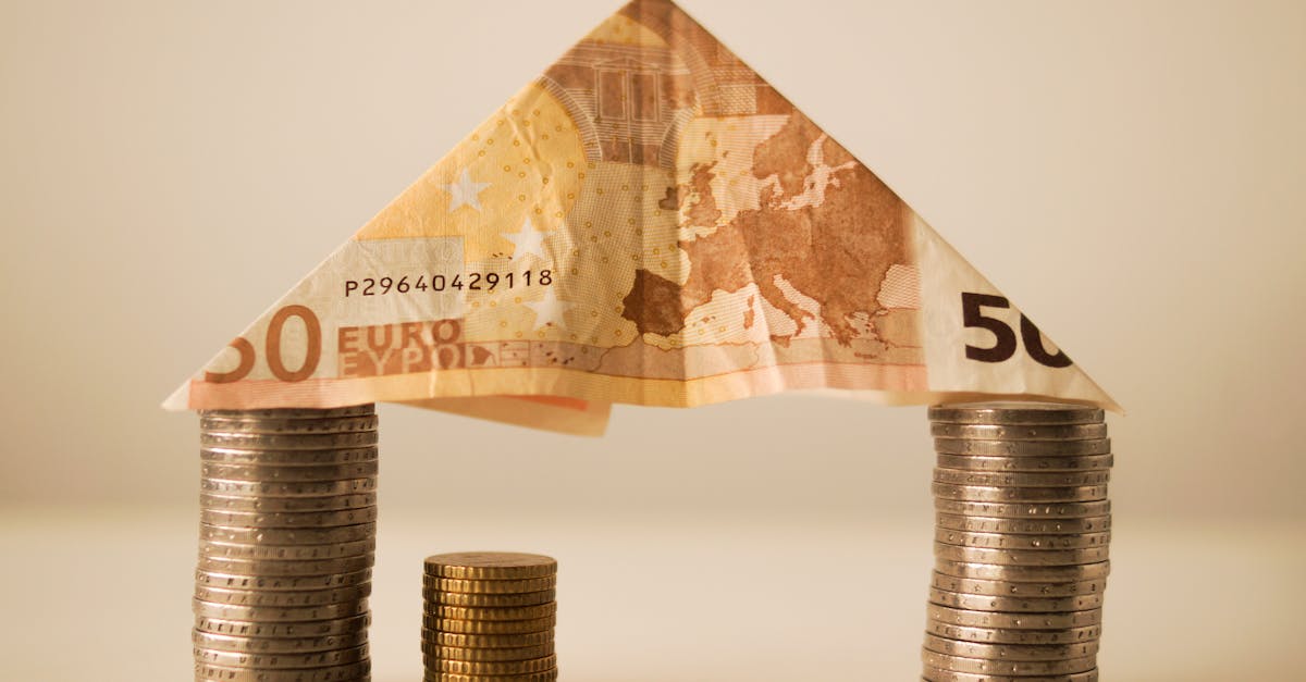 A creative composition using euro banknotes and coins to represent savings and financial structure.