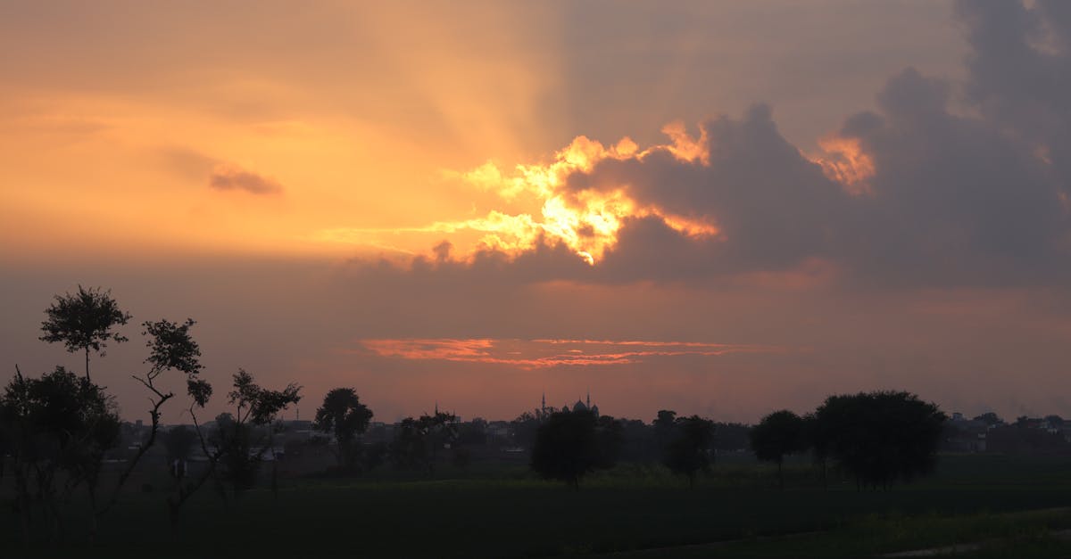 Breathtaking view of the sun setting over a peaceful rural field with silhouettes of trees against a vibrant sky.