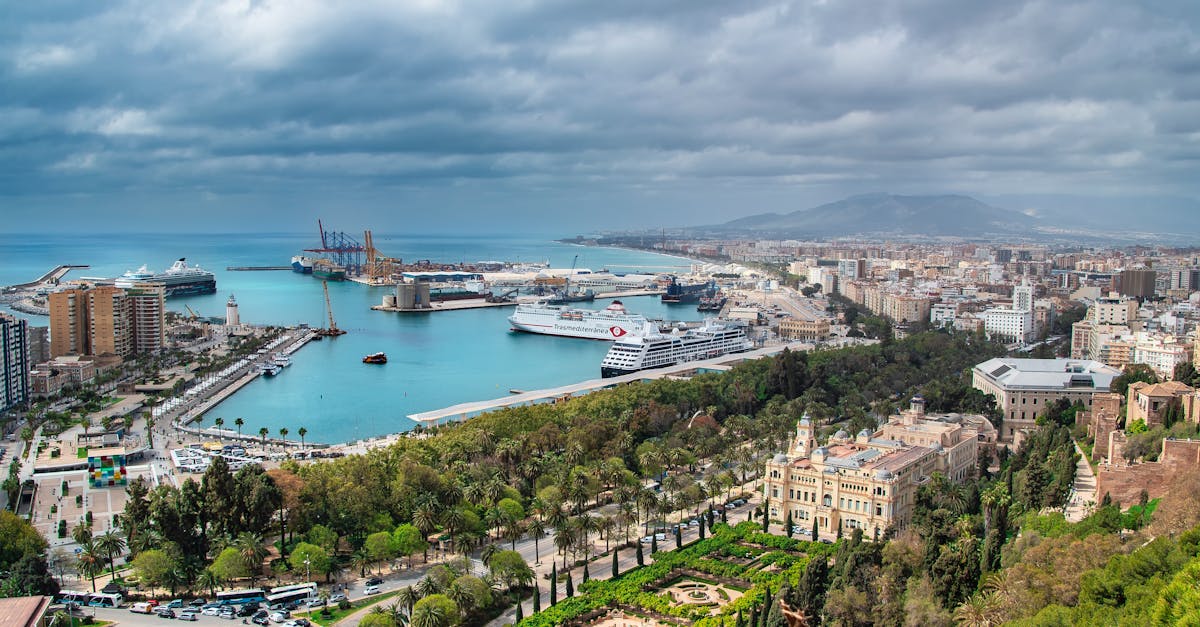 Aerial view of the Malaga Harbor, cityscape, and lush greenery under a cloudy sky.