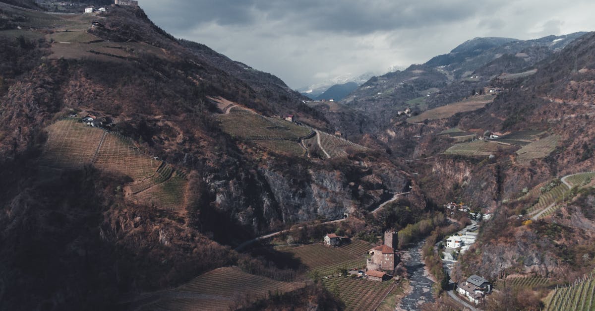 A mesmerizing aerial view of vineyards and mountains in Renon, Italy during autumn.