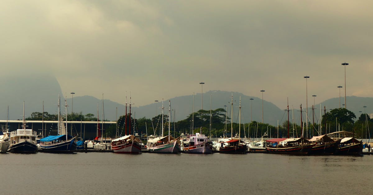 Sailboats in a Rio de Janeiro marina against a foggy mountain backdrop.
