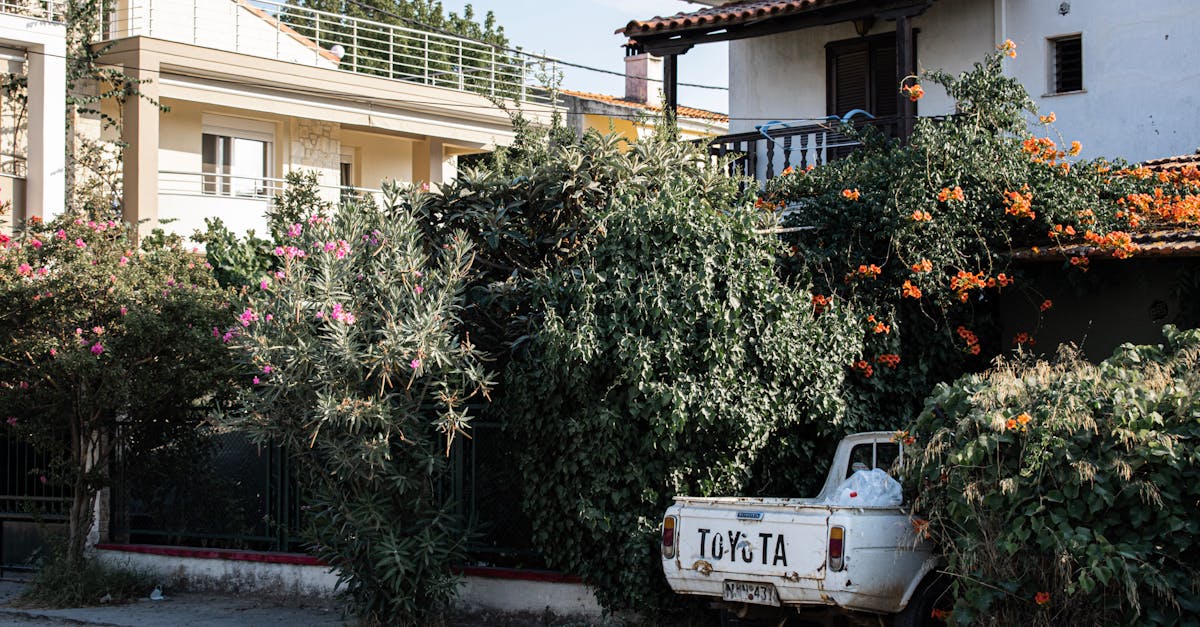 Old Toyota pickup surrounded by lush flowering plants in a Greek village setting.