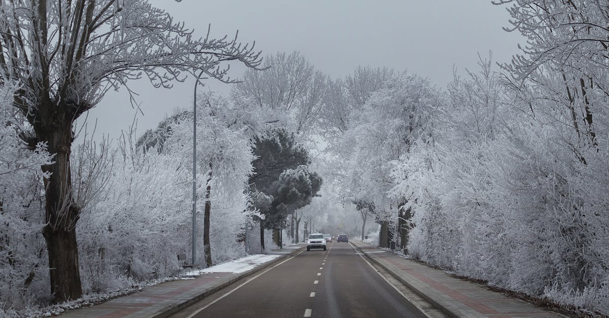 A car drives down a snowy winter road surrounded by frost-coated trees.