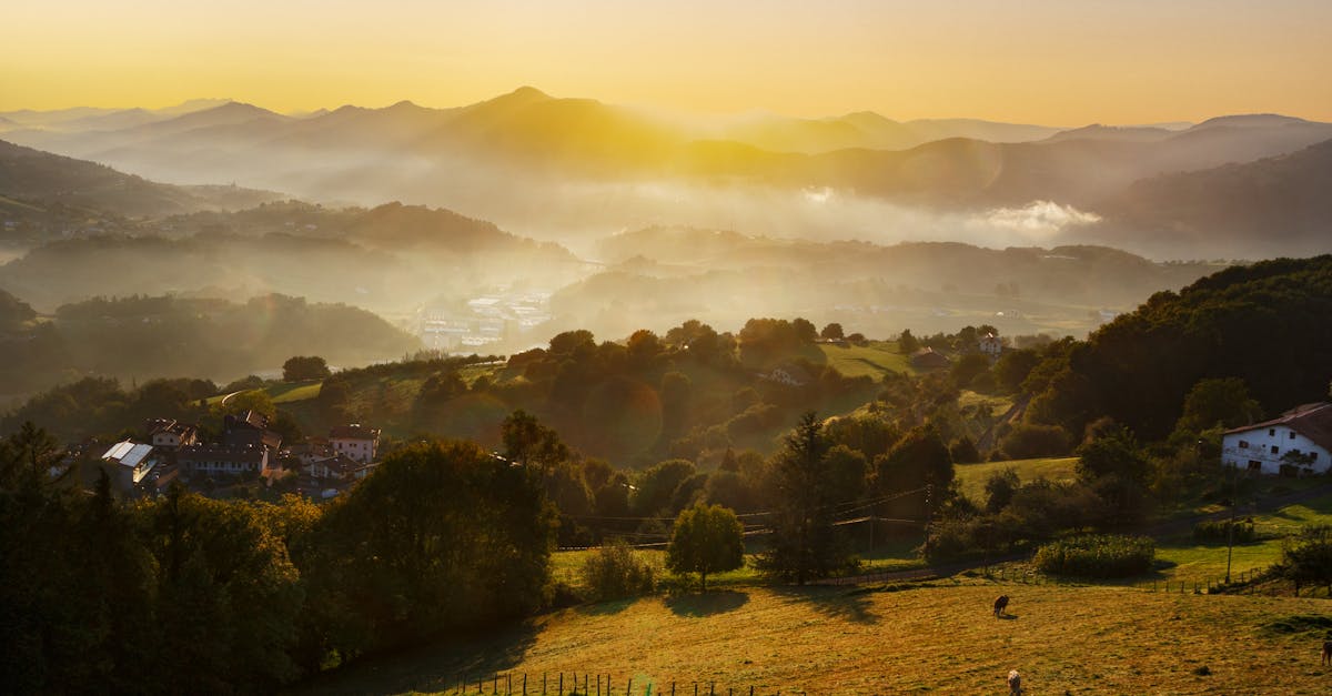 Captivating sunrise with mist and green valleys creating a tranquil mountain landscape.