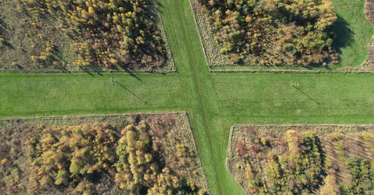 third_section_image_data.image_alt