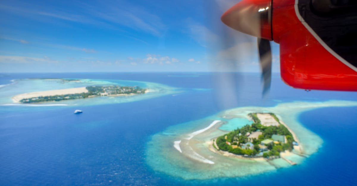 third_section_image_data.image_alt