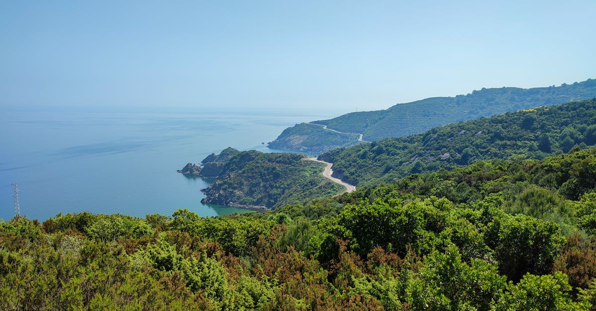 third_section_image_data.image_alt