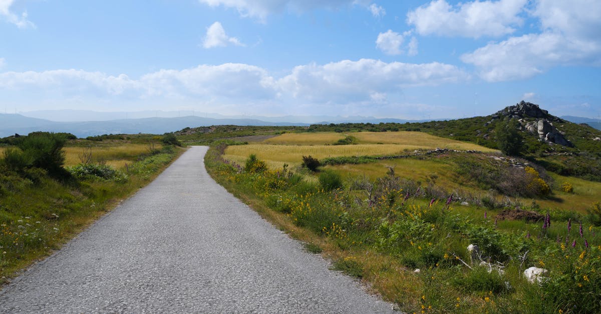 A picturesque rural landscape with a winding road through green fields under a bright blue sky.
