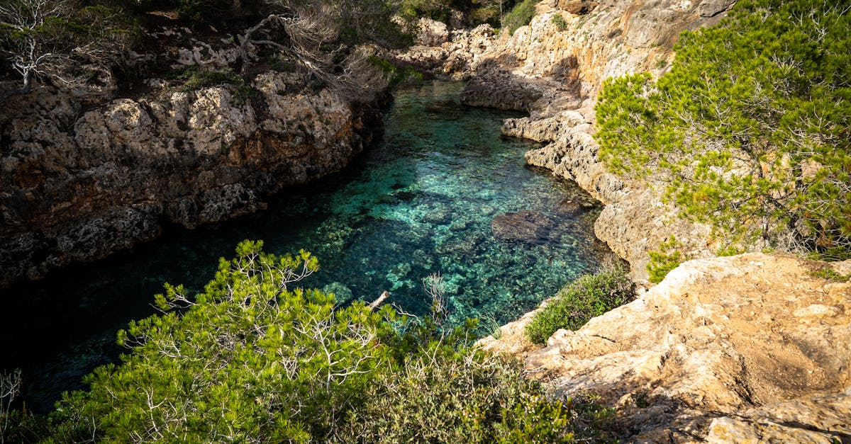 A tranquil cove with clear turquoise water surrounded by rocky cliffs and lush green trees.