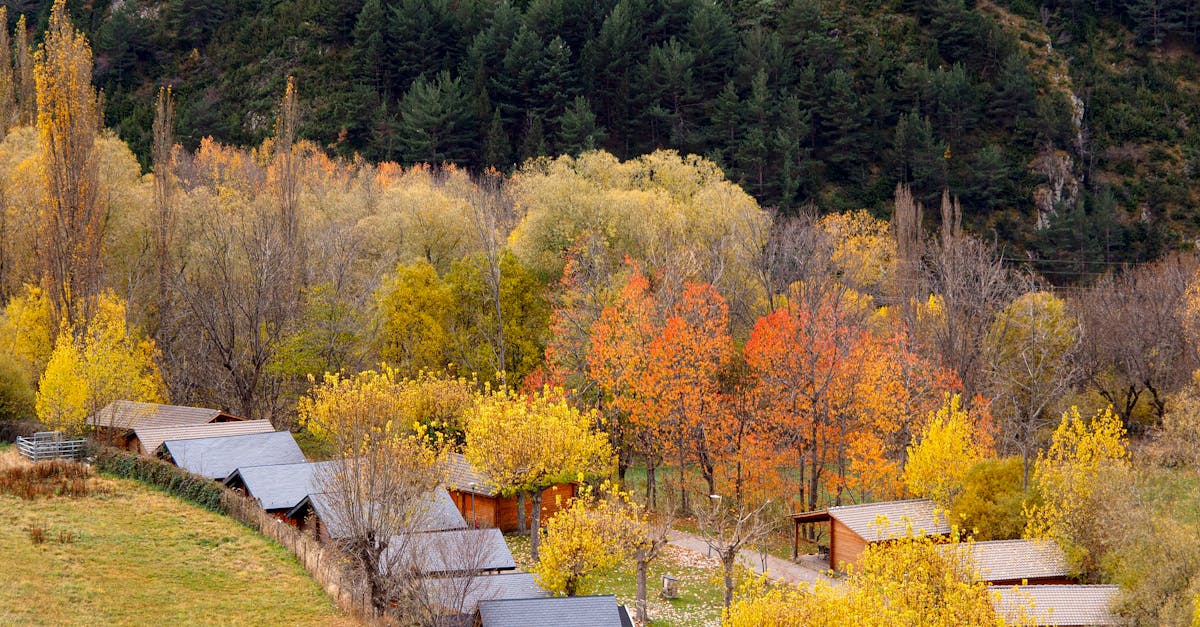 Charming rustic houses amidst vibrant fall foliage in Tahull, Spain's countryside.