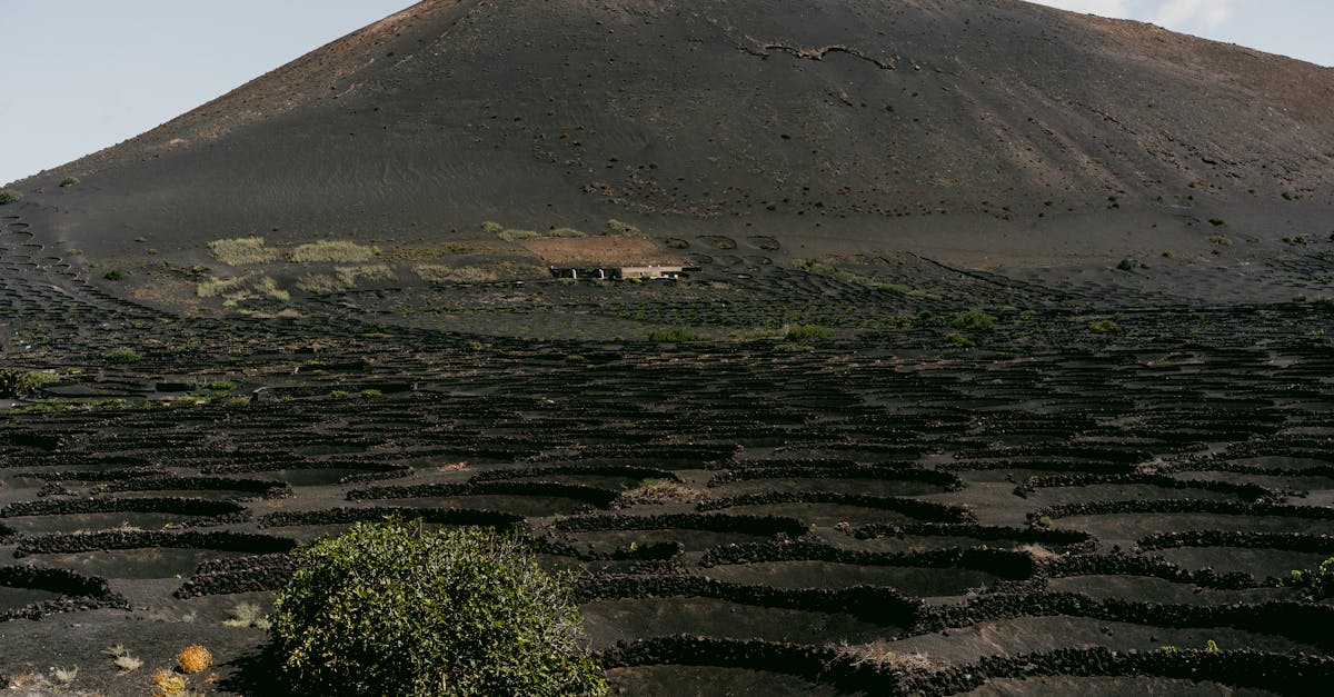 third_section_image_data.image_alt