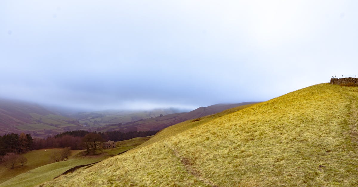 Tranquil hillside view under an overcast sky, capturing the essence of serene natural landscapes.