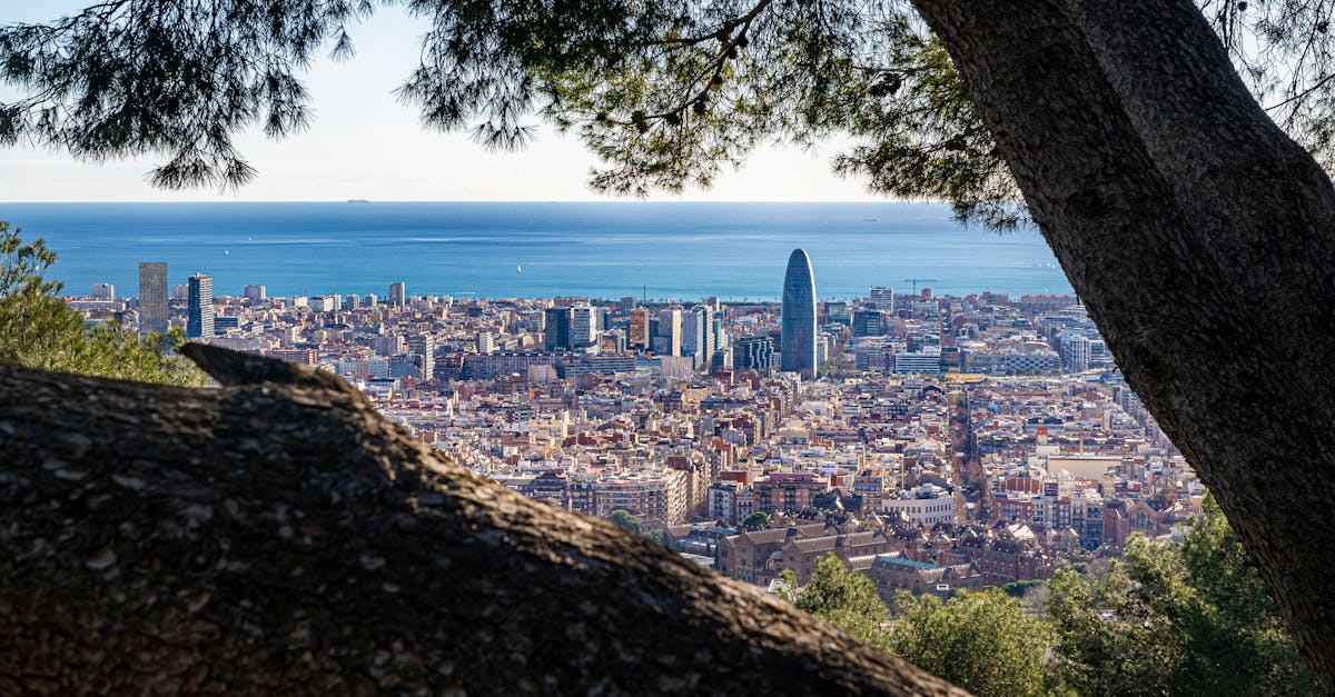 Stunning view of Barcelona cityscape overlooking the sea, framed by lush trees.