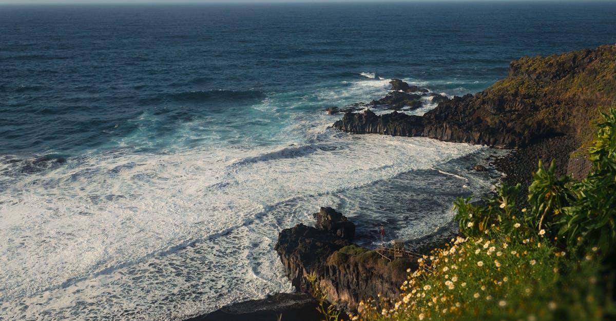 Stunning view of a rocky coastline with crashing ocean waves and lush greenery.