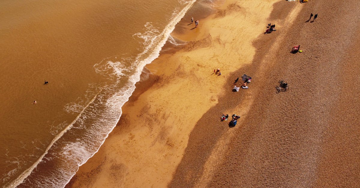 Aerial shot of a sunny beach with visitors enjoying the sea and sand.