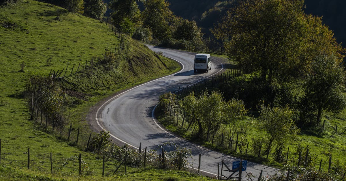 A scenic country road winding through lush green hills in Dereli, Giresun, Türkiye.