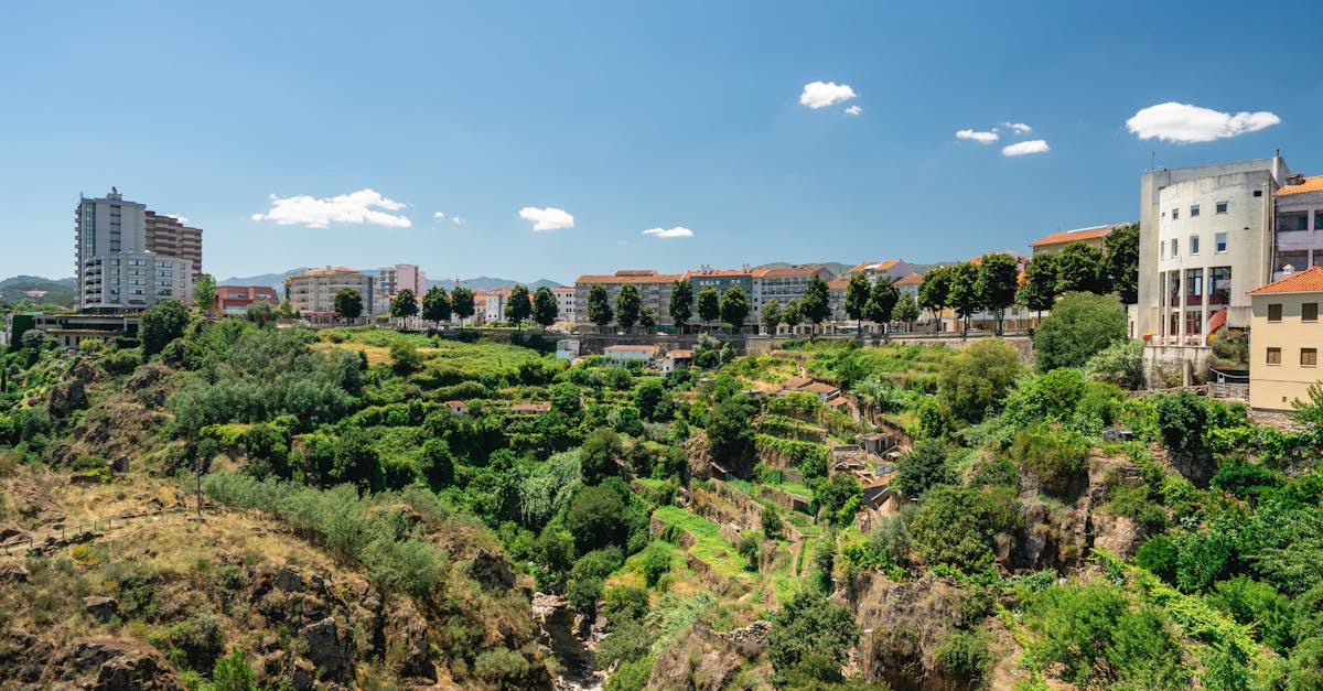 Bright summer view of Vila Real, Portugal, showcasing lush greenery against urban architecture and blue skies.