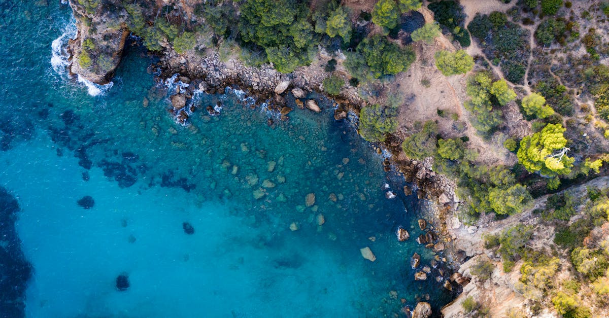 A stunning aerial coastline view of Marseille, France, featuring turquoise waters.