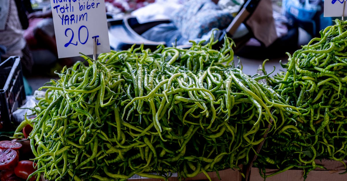 Fresh green peppers on display at a local market, labeled with price in Turkish Lira.