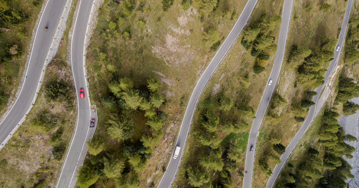 Aerial shot of cars navigating a winding road through lush greenery.