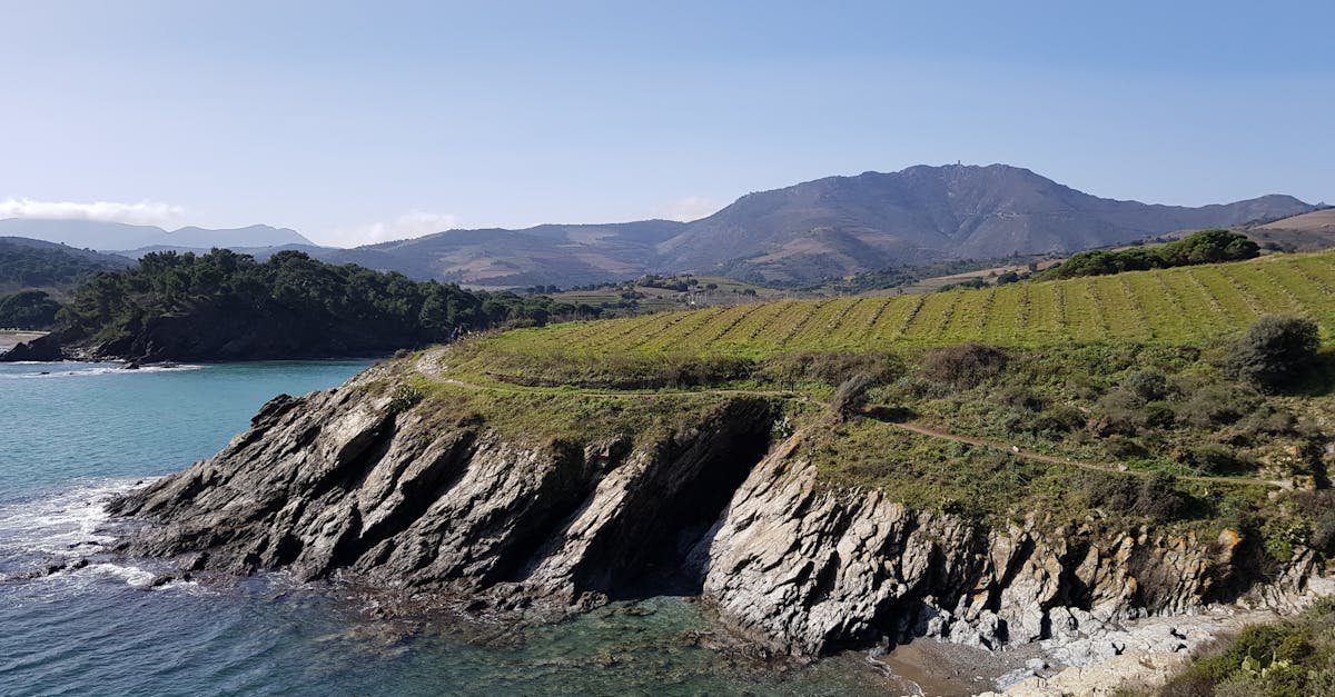 Aerial view of vineyards by the sea in Banyuls-sur-Mer, France, under clear skies.