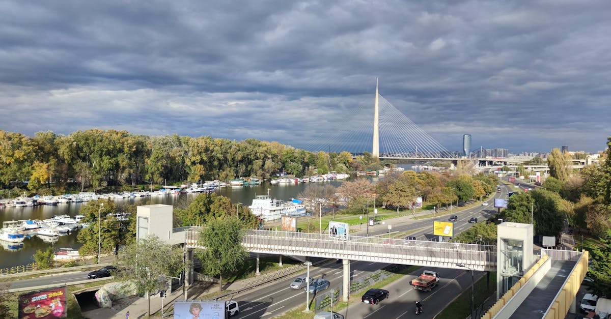 Scenic view of Belgrade featuring Ada Bridge, river, and vibrant autumn foliage.
