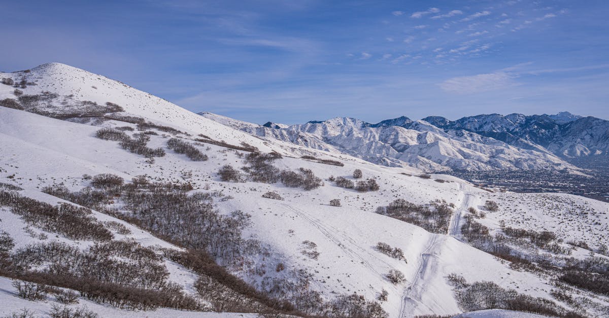 third_section_image_data.image_alt