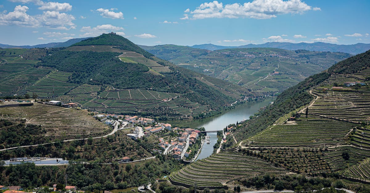 Scenic aerial view of Douro Valley vineyards and river, Portugal's wine region.