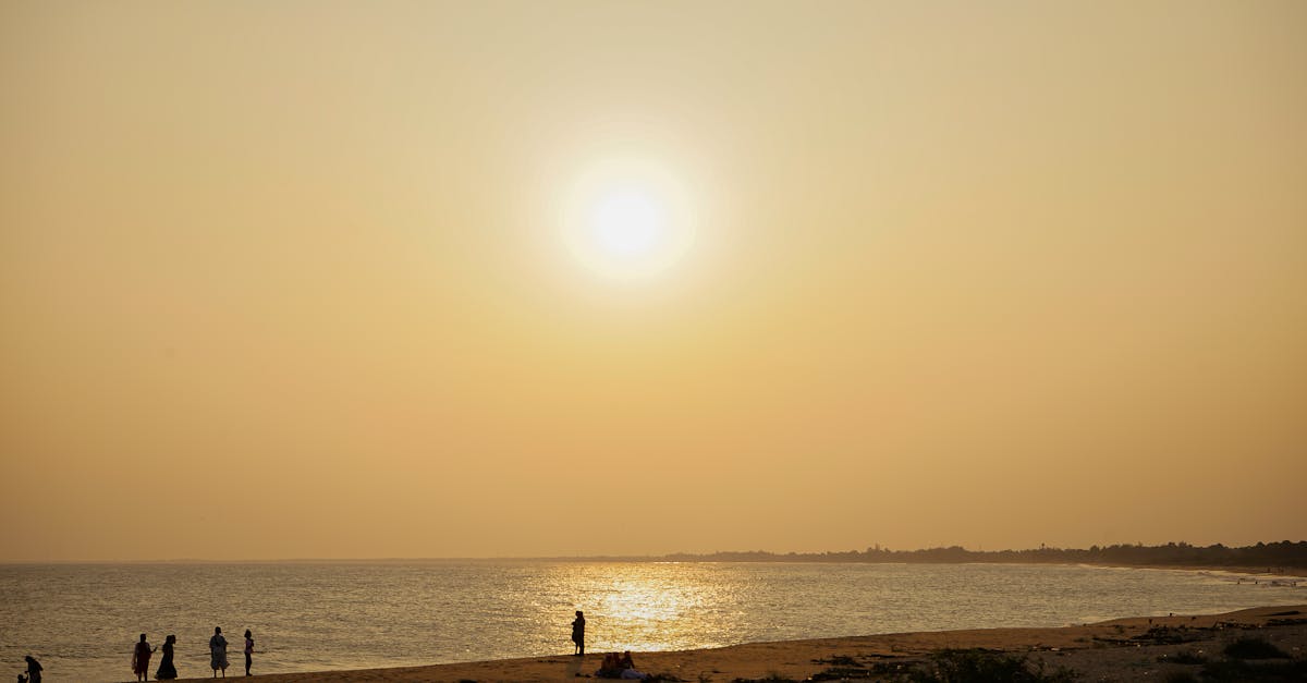 third_section_image_data.image_alt