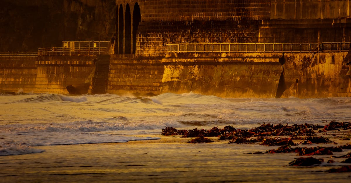Stunning golden light illuminating a seawall with gentle waves at sunset.