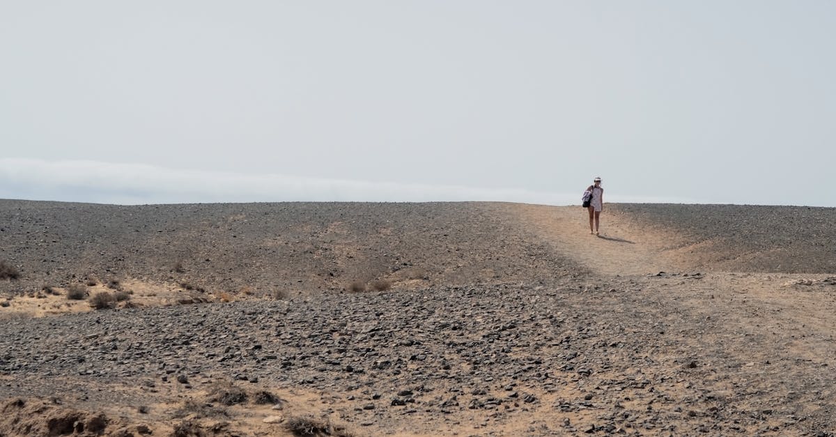 A solitary traveler walks across a rocky desert landscape under the summer sun.