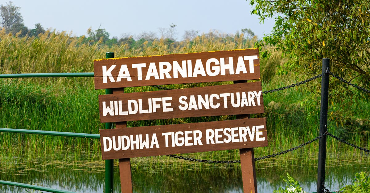 Signboard at Katarnia Ghat Wildlife Sanctuary and Dudhwa Tiger Reserve with lush natural background.