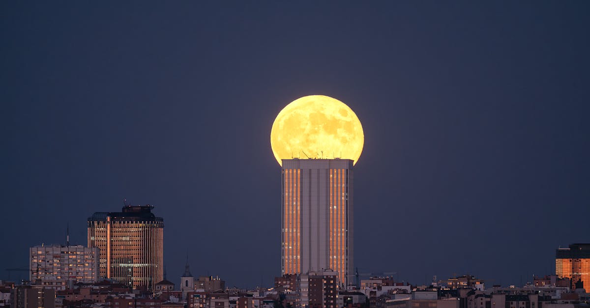 third_section_image_data.image_alt