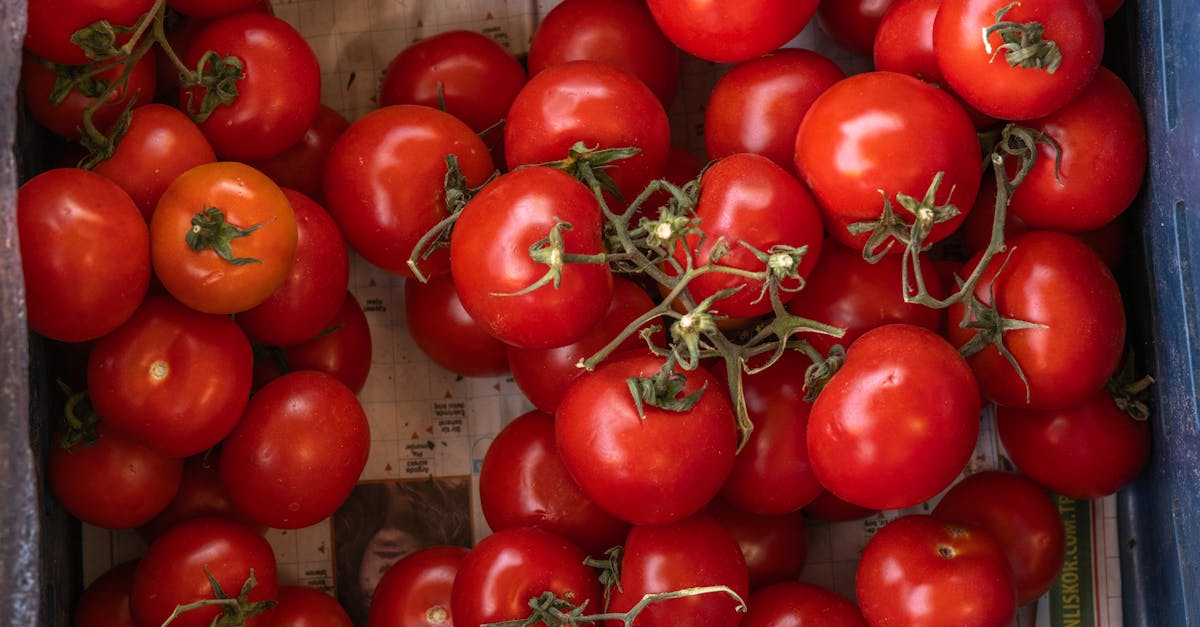 Bright red cherry tomatoes displayed in a market basket on newspaper.