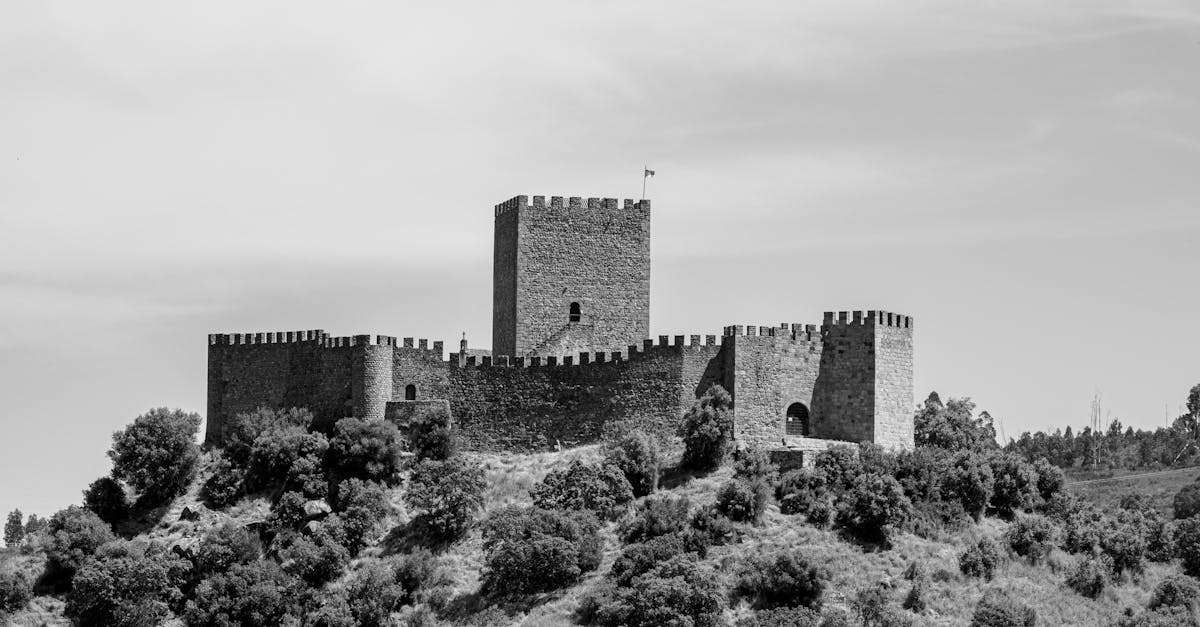 A captivating black and white photo of a historic castle in the countryside, perfect for travel and history themes.