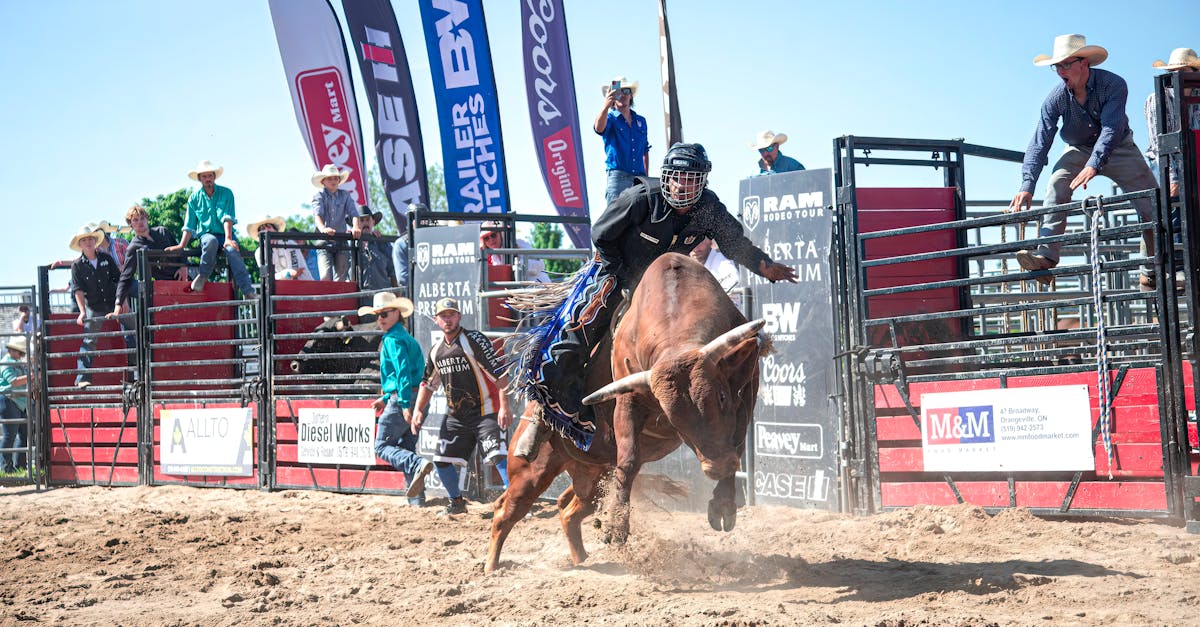 Dynamic bull riding scene at an outdoor Alberta rodeo showcasing cowboy skills in action.