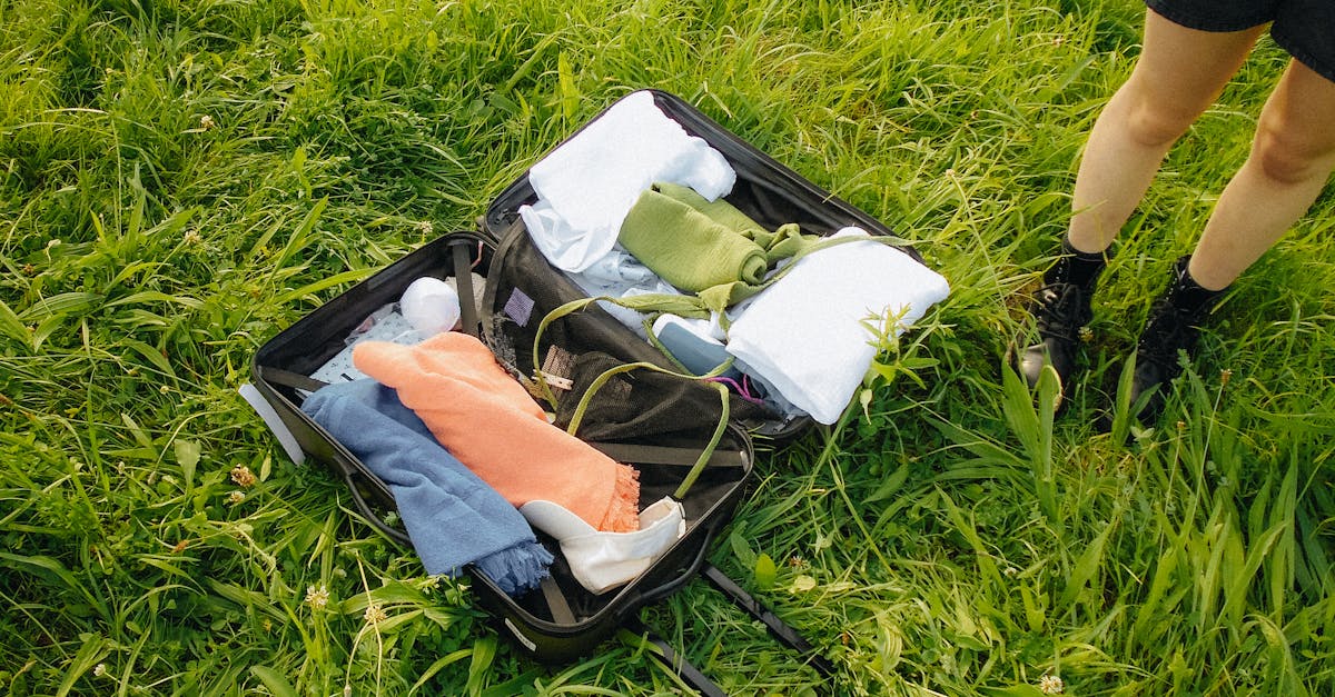 A packed suitcase open on grass, showcasing travel essentials in a sunny outdoor setting.