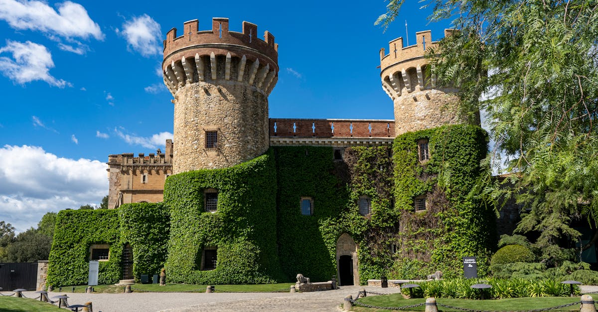 Historic castle with ivy-clad towers and walls under bright blue sky, perfect for travel and history themes.