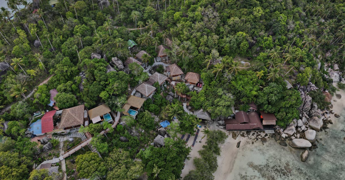 A stunning aerial view showcases a remote tropical village surrounded by lush greenery and a serene coastline.