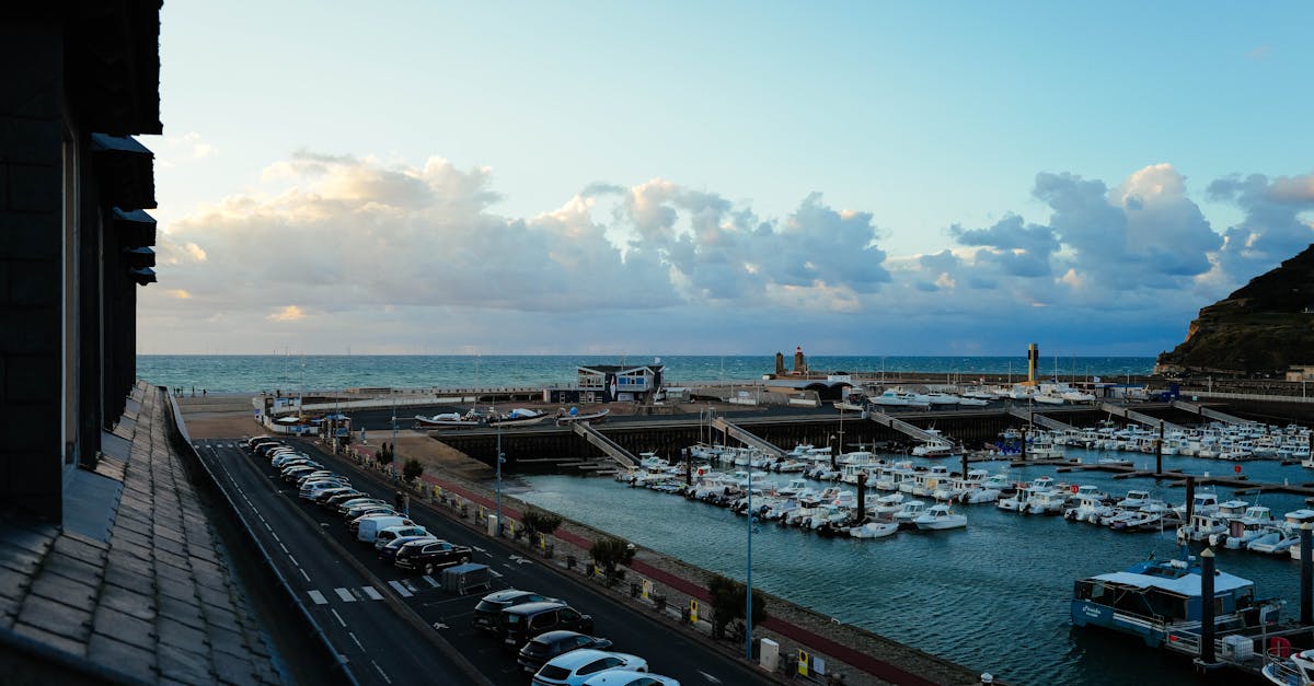 A serene harbor filled with boats under a cloudy sky, overlooking the ocean.
