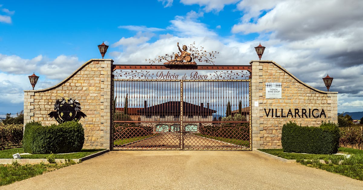 Explore the scenic entrance to VILLARRICA Vineyard, showcasing its unique architectural design.