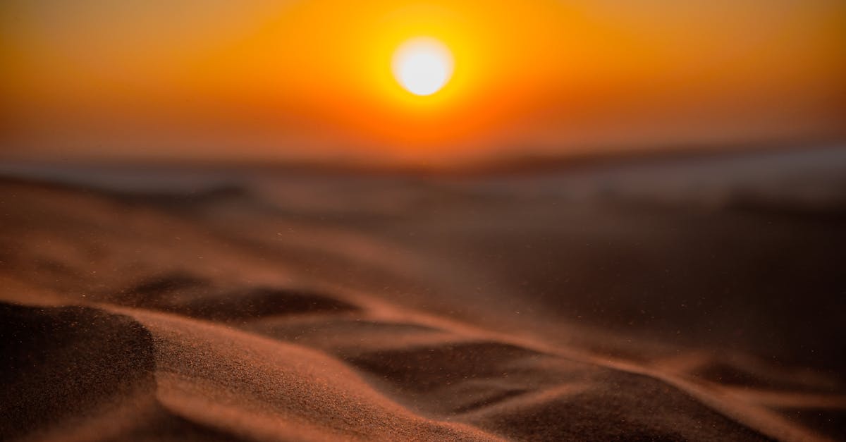 A stunning sunset casting golden hues over desert dunes, creating a warm and serene atmosphere.