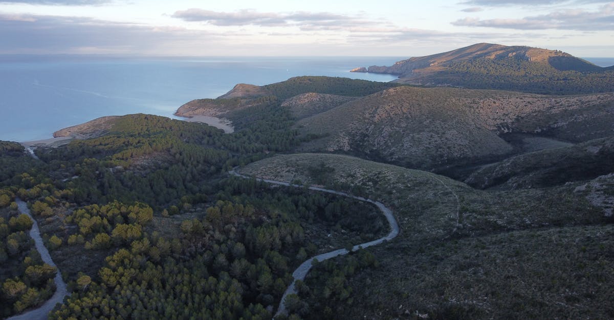 Aerial view of the rugged coast and lush forests of Artà in Mallorca, Spain.