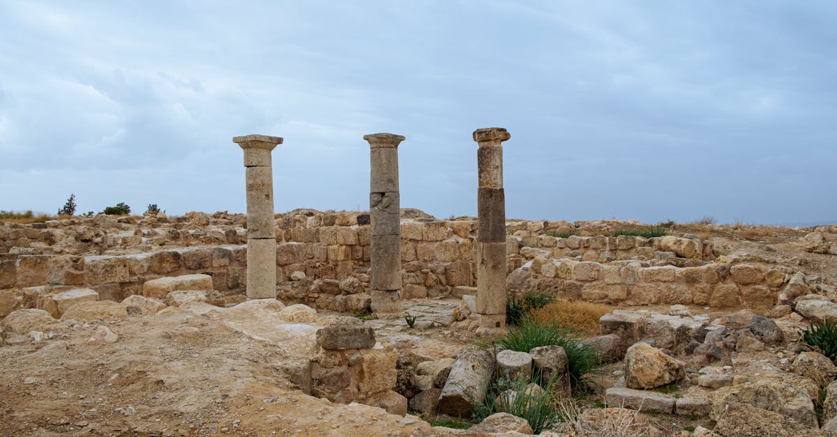 third_section_image_data.image_alt