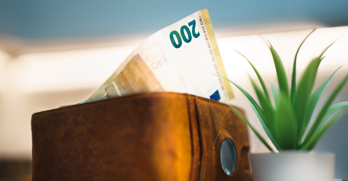 Close-up of a leather wallet holding euro banknotes next to a small plant, symbolizing savings.