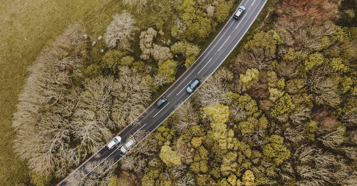 Drone view captures vehicles driving on a winding road through a lush forest, showcasing the blend of nature and transportation.