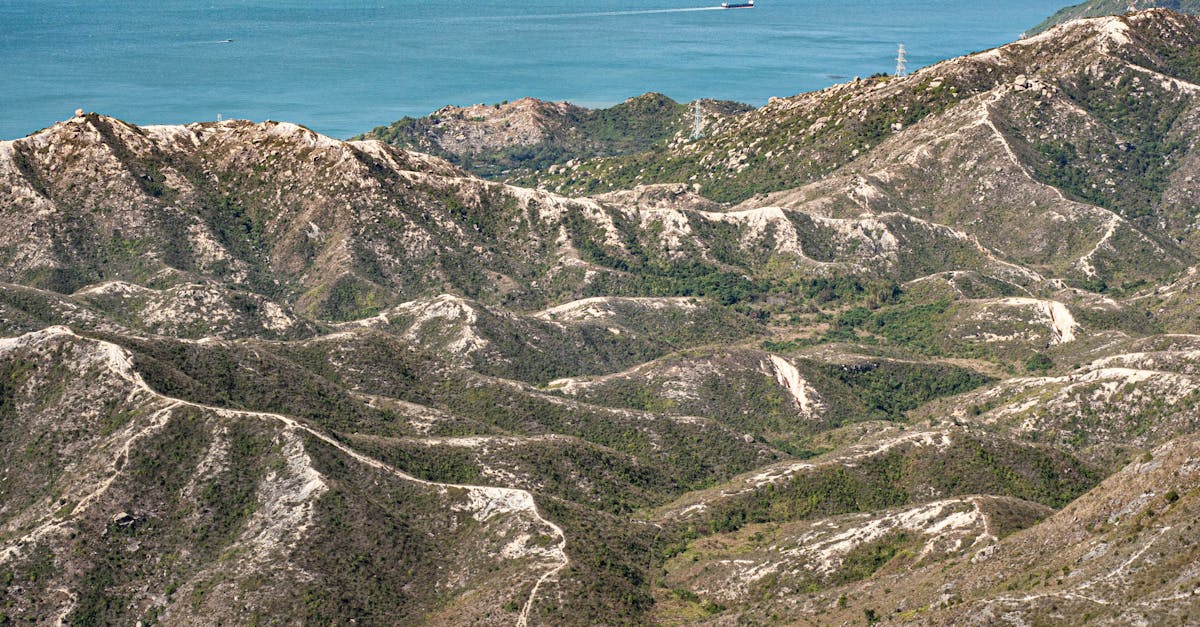 third_section_image_data.image_alt