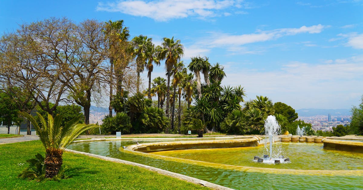Beautiful outdoor fountain surrounded by palm trees in a sunny park.