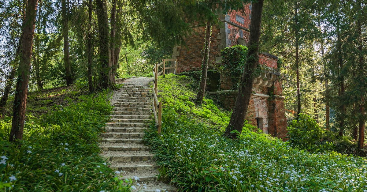 Idyllic forest pathway with stone steps leading to an ivy-covered historic brick building.