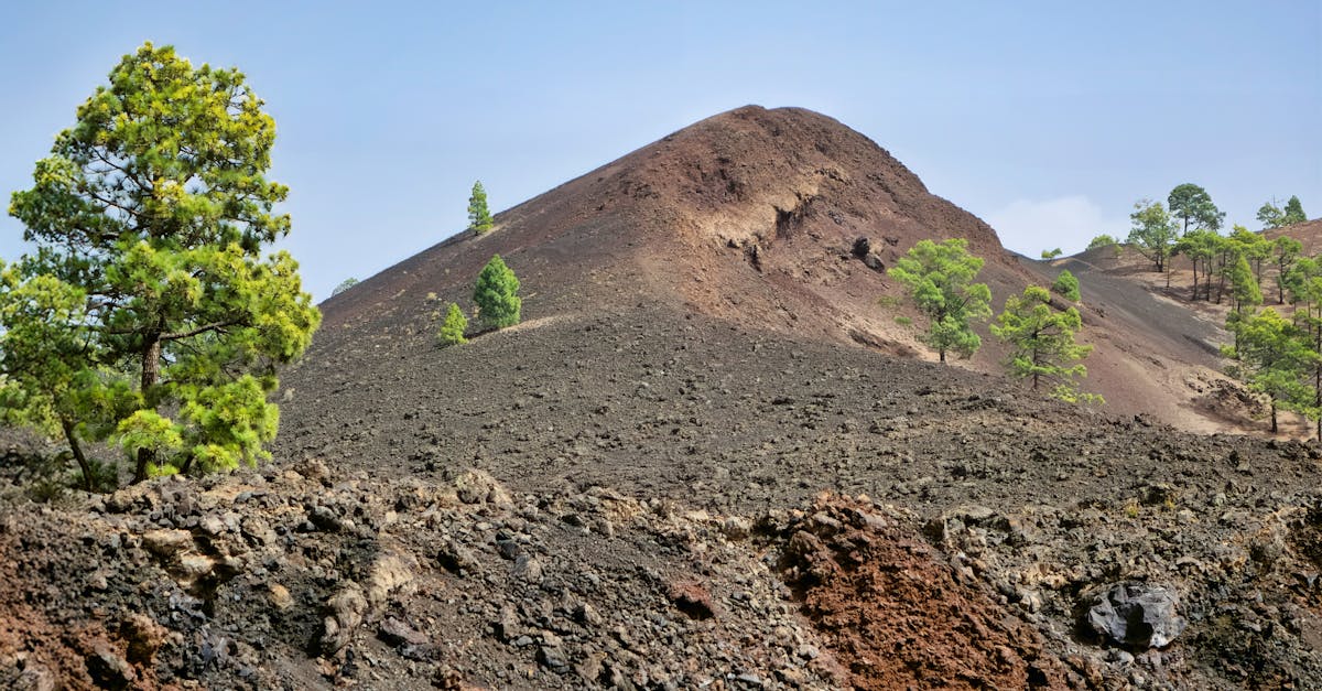 Explore the rugged volcanic terrain of Canarias, España with scattered pine trees.